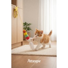 Petscape Elastik Kendinden Yapışkanlı Renkli Kedi Oyun Oltası Kedi Oyuncağı Yapışkanlı Olta Eğitim Oyuncağı