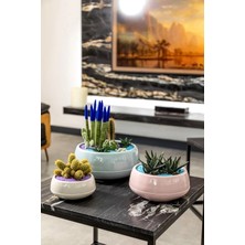 Serinova Serınova Saksı Elvan Kaktus Teklı Yuvarlak 0,55 Lt Süpriz Renk