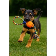Gold Be Dayanıklı Halatlı Top Köpek Oyuncağı – Çiğneme ve Getir-Götür Oyunları Için