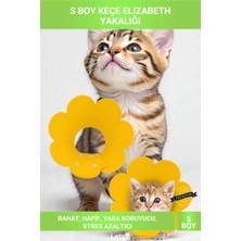 Letsii S Boy Keçe Elizabeth Yakalığı Yavru Kedi ve Küçük Irklar Için Koruyucu Yaka
