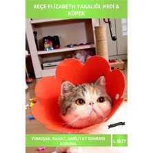 Letsii L Boy Keçe Elizabeth Yakalığı Büyük Kedi ve Köpekler Için Ameliyat Koruyucu Yaka