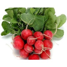 MarkEntegra Doğal Cherry Turp Tohumu