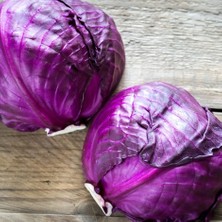 MarkEntegra Doğal Kırmızı Lahana Tohumu