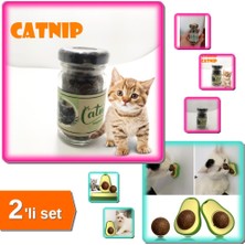Hereveoyuncak Catnip Doğal Kedi Otu - Kedi Nanesi + Avokado Dönen Kedi Nanesi Cat Oyun Topu Oyuncak - 2li Set T8Q0