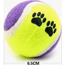 Gold Be Köpekler Için Renkli Tenis Topu Seti (4'lü)