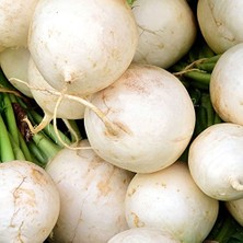 MarkEntegra Turp Beyaz Kız Tohumu - 10 gr