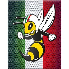 Vespa Amblem 244 / V-Sticker