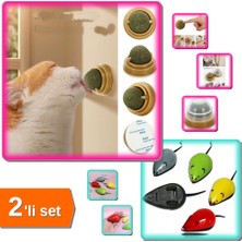 Hereveoyuncak Yapışkanlı Kedi Nanesi Oyun Topu + Çek Bırak Kedi Oyuncağı - 2li Set J8L7V9