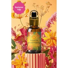 Mim And More Kantaron Yağı, 50 ml