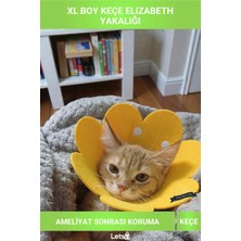 Letsii Xl Boy Keçe Elizabeth Yakalığı Büyük Irk Kedi Köpek Koruyucu Yaka