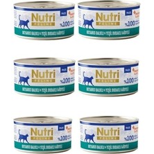 Nutri Feline Gurme Seri: Midyeli & Okyanus Balıklı Tahılsız Pate (6X70G) - Eşsiz Lezzet Şöleni