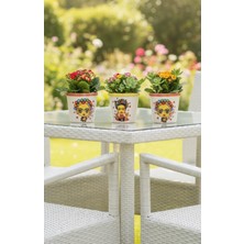 Skygo 3 Lü Seramik Saksı Sukulent Için Küçük Çiçek Için