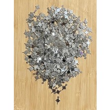 öztürk Kutup Yıldızı Gümüş Pleksi Kalın Pul. 20GR