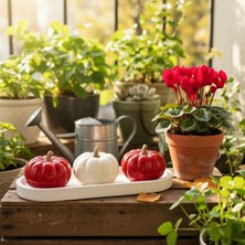 Semy Store Dekoratif Tabaklı Kırmızı-Beyaz 3'lü Balkabağı Seti, Ev Dekorasyon, Obje, Biblo, Süs