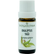 NPO Ferahlatıcı Aromaterapi Yağı, Saf ve Doğal Okaliptus Uçucu Yağı 10ML