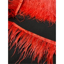 Massaltay Kırmızı Deve Kuşu Tüyü 1 Metre – Dekoratif Süsleme, Kına ve El Sanatları Malzemesi