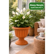 Alezy N003 Nergis Dış Mekan Saksı 47 Litre