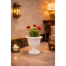 Alezy N001 Nergis Dış Mekan Saksı 9.8 Litre