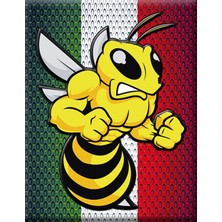Vespa Amblem 316 / V-Sticker