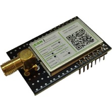 EGN Elektronik NTR08RSL8 868MHZ Rf Lora Transceiver Modülü (SX1262, Saw Filtre, Rf Ekran, +13DBM, Sma Rf Konnektör)