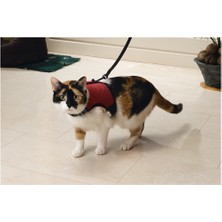 Xmpdby Beeztees Kedi Göğüs Tasması, Comfort, Zili ve Gezdirme Kayışı, 22-24.5cm Boyun, 30-39CM Göğüs