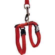 Xmpdby Beeztees Kedi Göğüs Tasması ve Gezdirme Kayışı, 130CM, Kırmızı