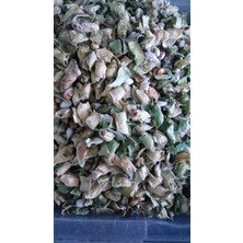 Kabuklu(Çarık)Fasulye 1 kg