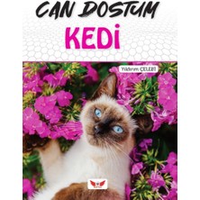 Binbir Göz Kitap Can Dostum Kedi