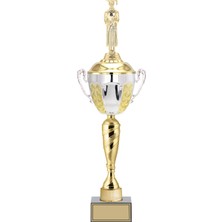 ODAK KUPA - Figürlü Kupalar - Mezuniyet Erkek Figürlü Kupalar FG-088 C - 55 cm