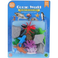 Sinerjim H6 Vakumlu Deniz Hayvanları