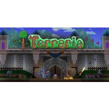 Terraria (Pc)
