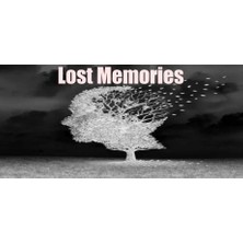 Lost Memories (Pc)