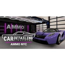 Car Detailing Simulator Ammo Nyc Dlc (Pc)