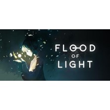 Flood Of Light (Pc)