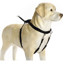 Sptrns Beeztees Köpek Yürüyüş Eğitim ve Düzeltme Tasması, S