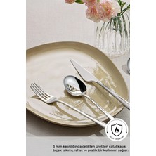 Emsan Yüksek Kaliteli Paslanmaz Çelik 18/10 Ladin 84 Parça 12 Kişilik Çatal Kaşık Bıçak Seti Kutulu