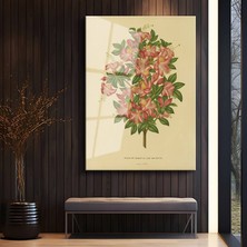 GülsenArt Pierre-Joseph Redouté Azalea Çiçeği Botanik Sanatı Temperli Cam Tablo Duvar Tablosu Dekoratif Tablo