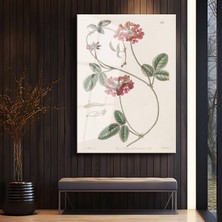 GülsenArt Pierre-Joseph Redouté Kırmızı Çiçek Botanik Illüstrasyon Temperli Cam Tablo Duvar Tablosu Dekoratif Tablo