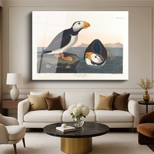 GülsenArt John James Audubon Büyük Gagalı Deniz Papağanları Kuş Resmi Temperli Cam Tablo Duvar Tablosu Dekoratif Tablo