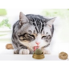 Eco Lounge Kedi Otu Oyun Topu
