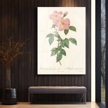 GülsenArt Pierre-Joseph Redouté Pembe Yaban Gülü Botanik Temperli Cam Tablo Duvar Tablosu Dekoratif Tablo