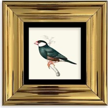 TeknoKapsül Yeşil Kuş Çerçeveli Taş Tablo 20 cm