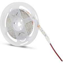 Eco Lounge 5 Metre Noas YL40 4005 Iç Mekan 12V Yeşil Şerit LED