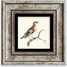 TeknoKapsül Dal ve Kuş Çerçeveli Taş Tablo 20 cm