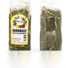 Zenvia Poşet Kırkkilit Otu 30 Gr. (ZNV-556)