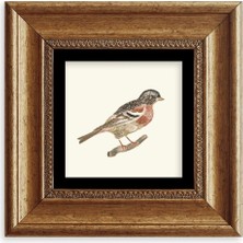 TeknoKapsül Kuş Çerçeveli Taş Tablo 20 cm