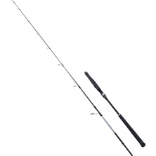 Ryuji Ryujı Seawolf Plus Fujı 1.98M 30-150GR 2p Jıg Kamış