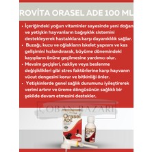 royal ilaç royal rovita orasel ade 100 ml