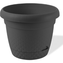 Zenvia Inci  Saksı 3 No ROYALEKS-KRS-343 (ZNV-556)