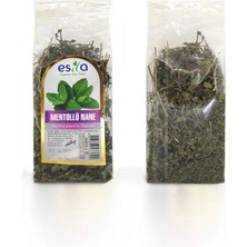 Zenvia Poşet Mentollü Nane 30 Gr. (ZNV-556)